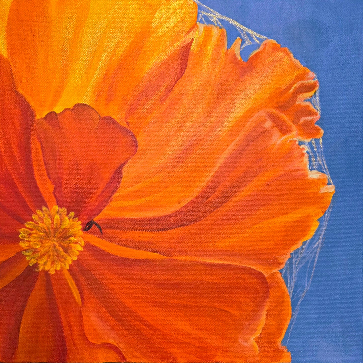 Original Painting β Someone's Home, 12 inches x 12 inches