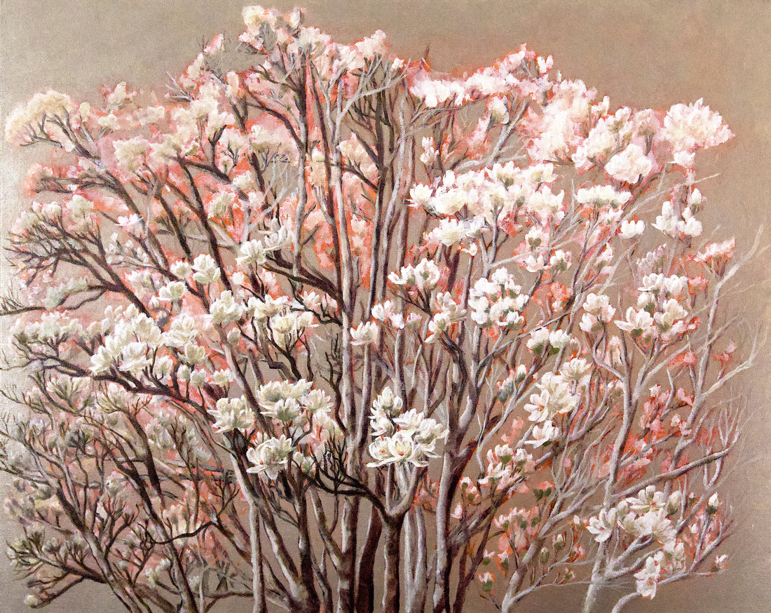 Release of the Magnolia Series
