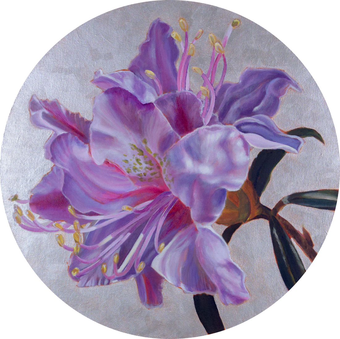 The Rhododendron Series