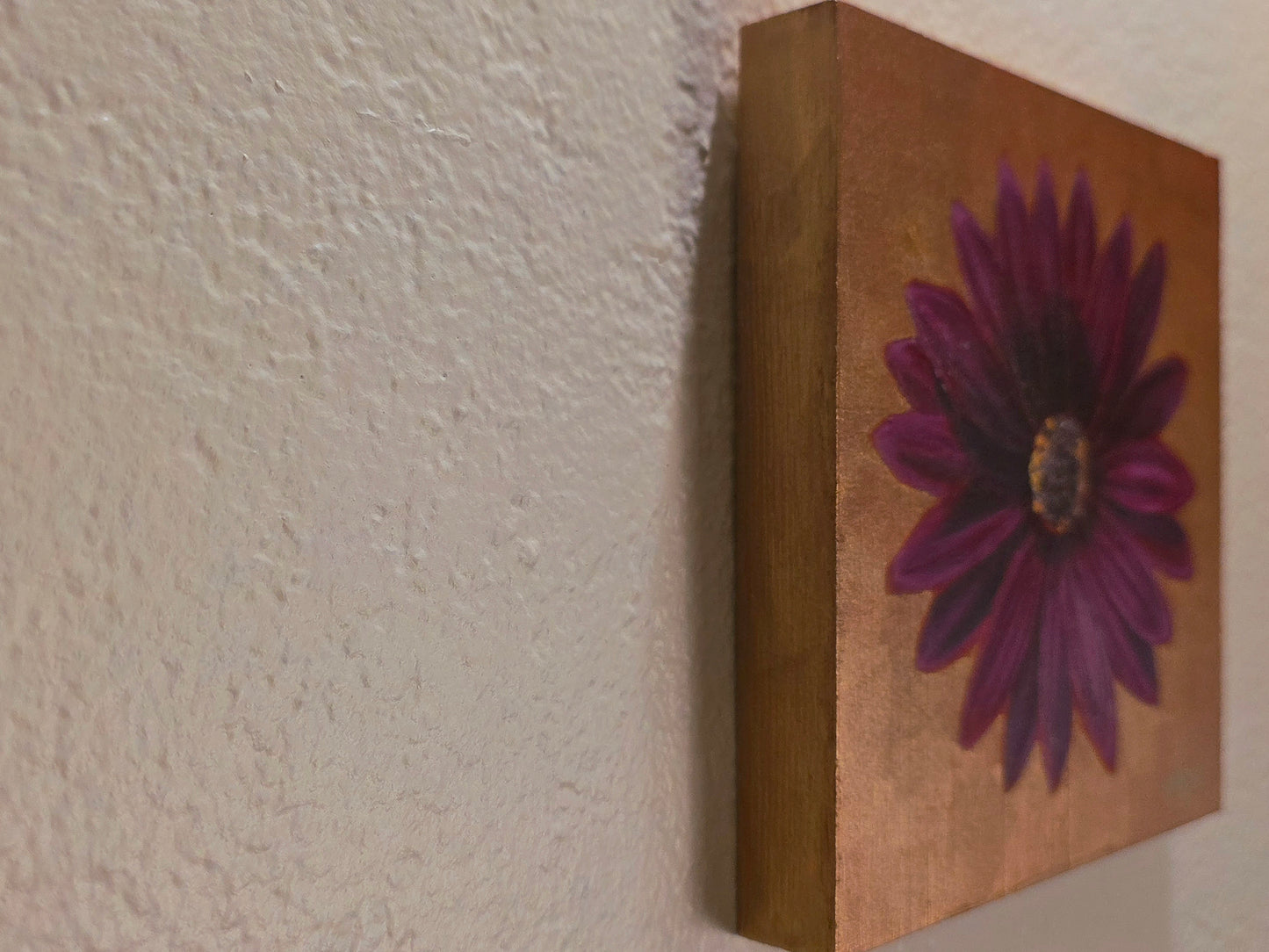Original Painting – Purple African Daisy, 6 x 6 in.