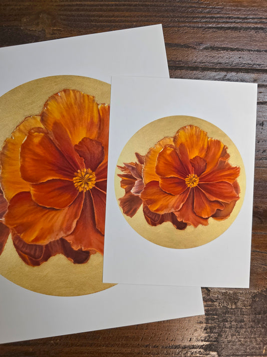 Art Print – Beautiful Orange Begonia