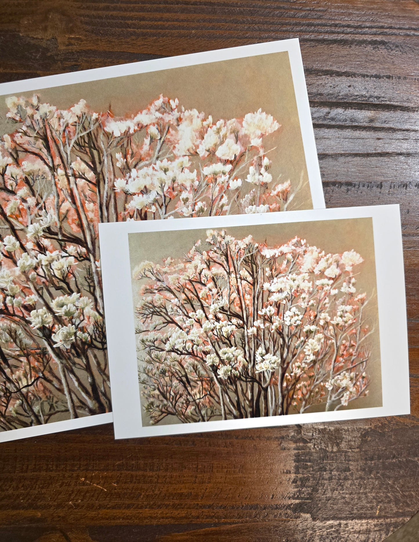 Art Print – Queen Magnolia