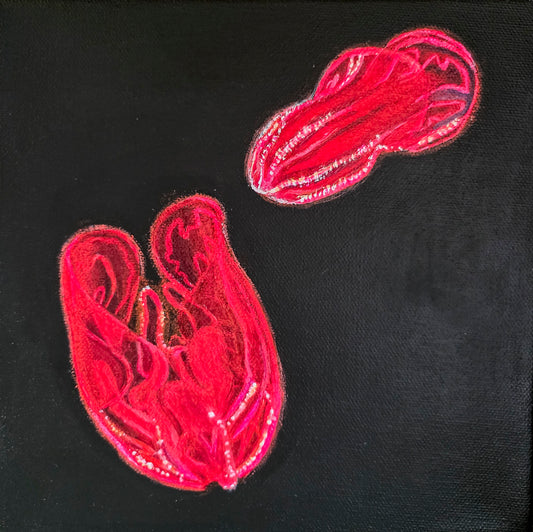 Original Painting – Bloodybelly Comb Jellies, 8 inches x 8 inches