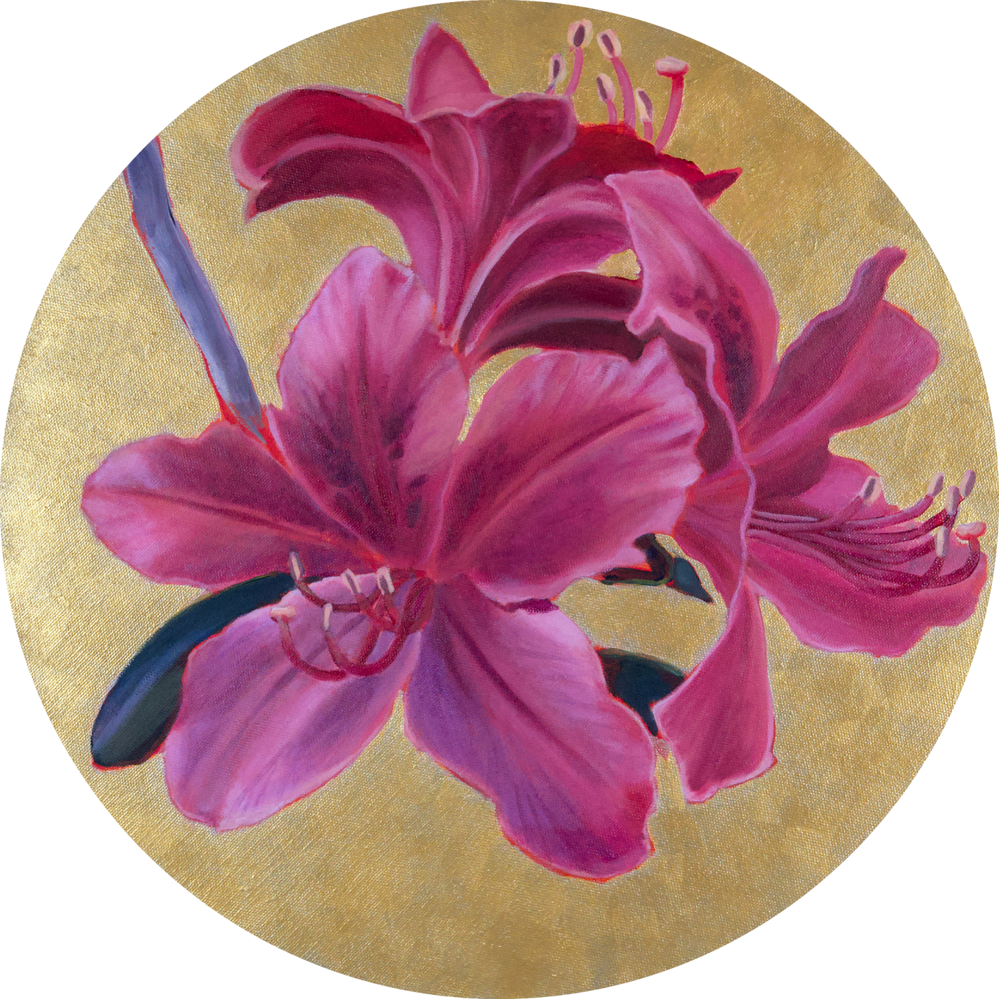 Original Painting – Rhododendron #2, 16 x 16 in.